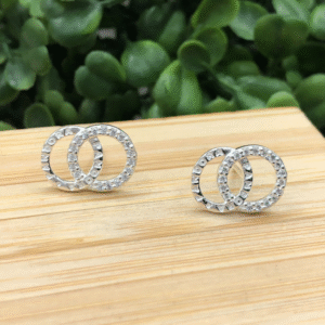 Brinco de prata 925 inspiração circulo duplo liso e cravejado
