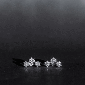 Brincos de prata 925 trio de flor cravejado