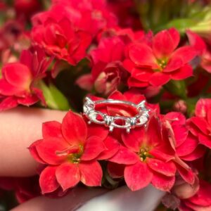 PIERCING ARGOLA COROA COM PONTA PRATA 925