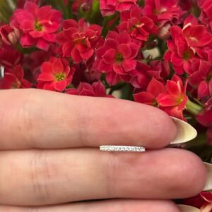 Piercing Argola Conch Cravejada Prata 925 | Piercing