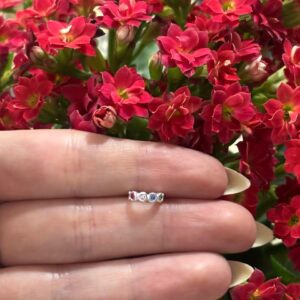 PIERCING ARGOLINHA ZICORNIA COLORIDA PRATA 925 | Piercing