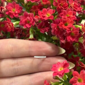 PIERCING NOSTIL CRAVEJADO FINO PRATA 925 | Piercing